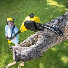 Best Lawn Grading and Leveling  in Withamsville, OH